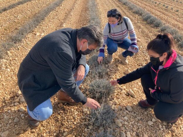 Más de 610 jóvenes se han incorporado a la agricultura en la provincia de Cuenca con la ayuda del Gobierno regional