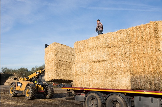 UPA pide un plan de choque contra la siniestralidad laboral en el campo