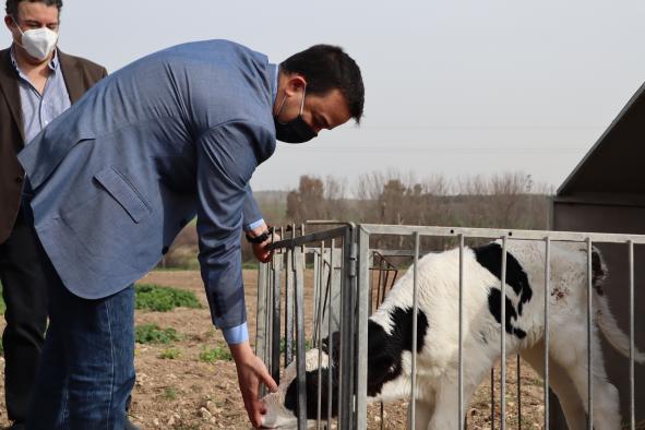 El sector agroalimentario de Castilla-La Mancha supone un 37% del total de la facturación en la exportación de la región en 2020, subiendo un 3% respecto a 2019