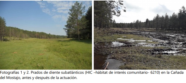 Carta abierta de la Sociedad Entomológica y Ambiental de Castilla-La Mancha al Consejero de Desarrollo Sostenible de la Junta de Comunidades de Castilla-La Mancha, el Delegado de Desarrollo Sostenible en Cuenca y el Alcalde del Ayuntamiento de Cuenca