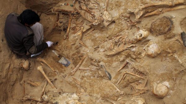 El Gobierno ha aprobado ayudas para tres proyectos de exhumación de fosas de la Guerra Civil en Castilla-La Mancha