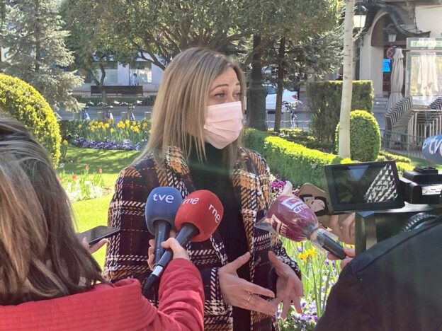 Ciudadanos pedirá este jueves en las Cortes actualizar el Plan de Salud Mental para hacer frente a los efectos de la pandemia