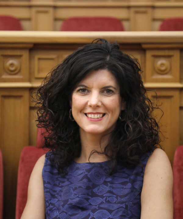 La vicepresidenta de las Cortes regionales Josefina Navarrete, en el Congreso de Poderes Locales y Regionales del Consejo de Europa