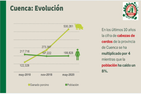 Pueblos Vivos señala que se disparan las solicitudes de granjas de cerdos en la provincia de Cuenca