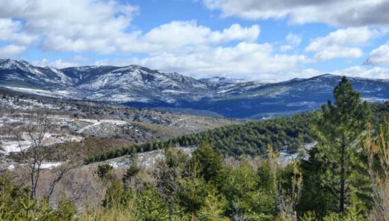 Ecologistas en Acción: «El Gobierno de Castilla-La Mancha desprotege el Parque Natural de la Sierra Norte para permitir trasvases y crear más suelo urbanizable»