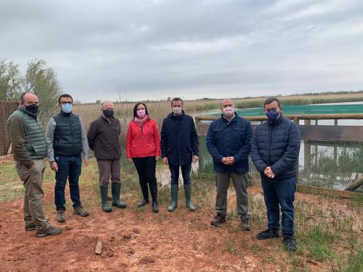 Castilla-La Mancha continúa con los trabajos de recuperación de la cerceta pardilla en la región con la suelta de 20 ejemplares en el complejo Lagunar de Alcázar de San Juan