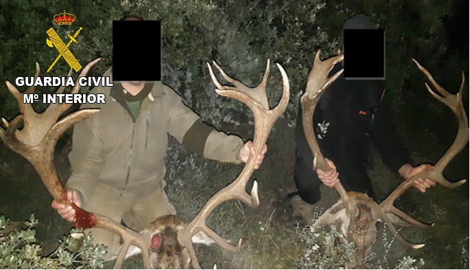 La Guardia Civil investiga a un grupo criminal que organizaba eventos de caza mayor en varias provincias