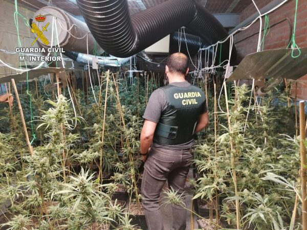 La Guardia Civil desmantela una plantación indoor de marihuana en una nave industrial en Los Navalucillos