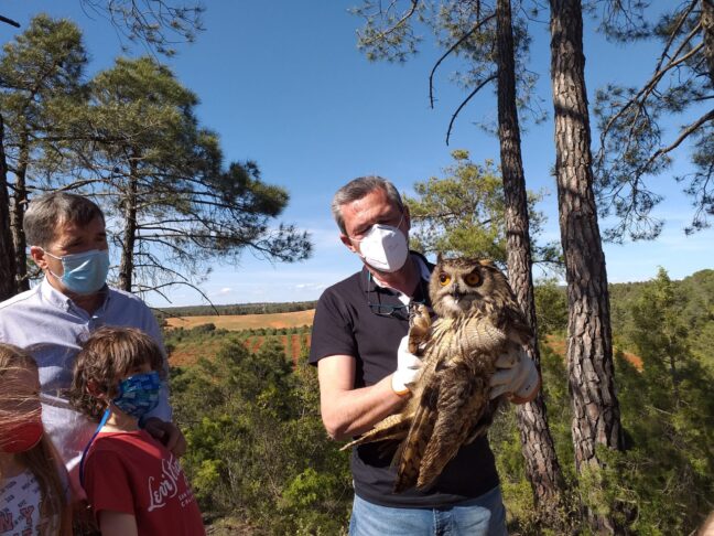 La Junta reafirma su apoyo al tratamiento y protección de la fauna silvestre reforzando los programas de preservación de aves rapaces