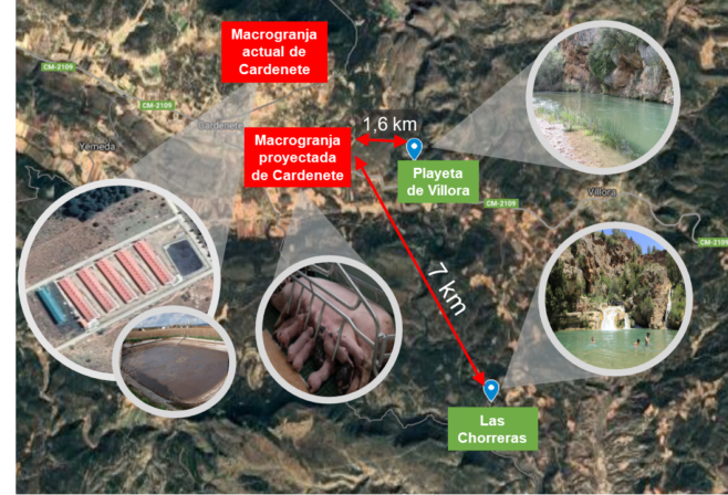 Pueblos Vivos Cuenca lanza una recogida de fondos para luchar contra la instalación de una macrogranja porcina en la Reserva de la Biosfera Valle del Cabriel