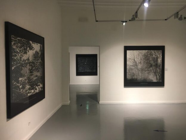 Los relatos fotográficos de Carolyn Marks Blackwood llegan hoy a la casa Zavala de Cuenca