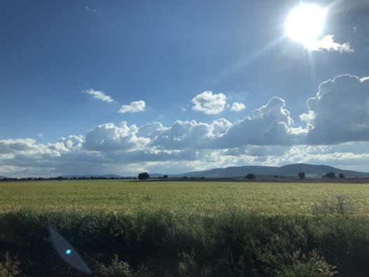 El anticipo de las ayudas directas de la PAC beneficiará a unos 664.000 agricultores y  ganaderos con hasta 3.350 millones de euros