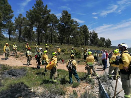 Castilla-La Mancha destaca la importancia del trabajo conjunto de todos los integrantes del dispositivo del Plan Infocam en la lucha contra los incendios forestales