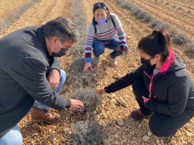 La Junta destaca el potencial de la provincia de Cuenca en la creación de proyectos innovadores dentro del sector agroalimentario