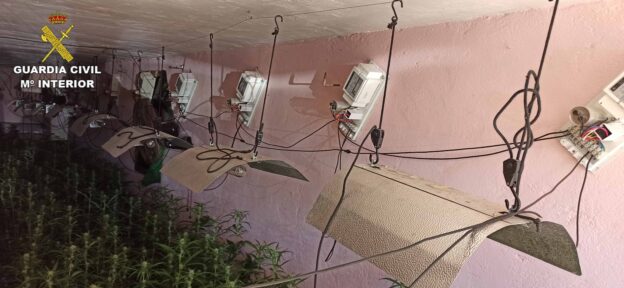 La Guardia Civil ha incautado cerca de 900 plantas de marihuana en la localidad de Santa Cruz de Mudela