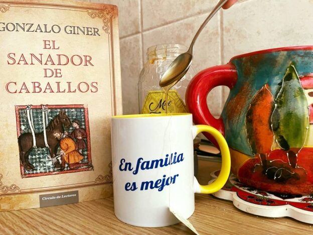 Favorable respuesta de los lectores a la propuesta de la Biblioteca Municipal Luis Rius de Tarancon para éste verano “Que marida con un buen libro”?