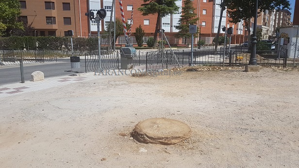 David Borja Pérez, concejal de Vox del Ayuntamiento de Tarancón, afirma que los socialistas van «a tener que plantar muchos árboles para tapar vuestra incompetencia».