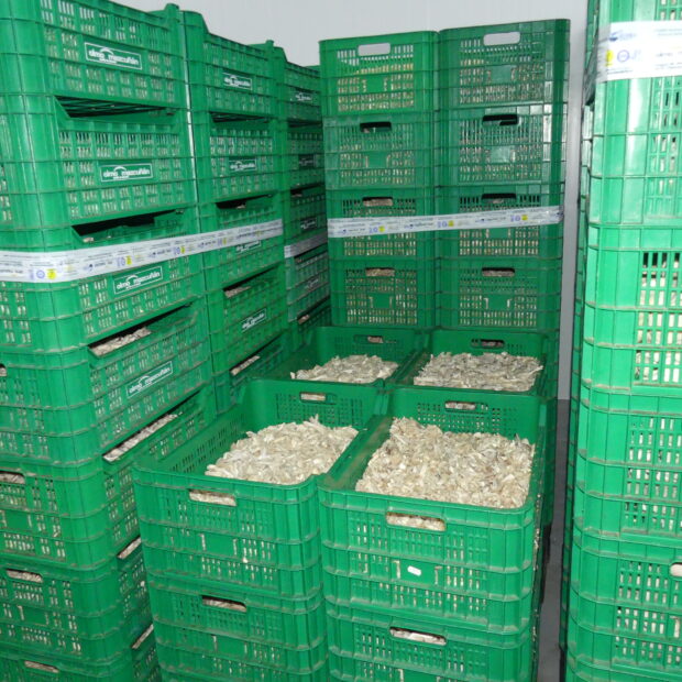 Ceoe Cepyme Cuenca enfatiza el ritmo imparable de las exportacines que ya crecen un 33%