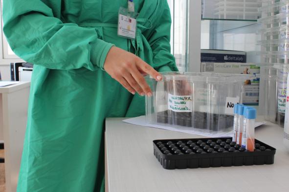 Durante el fin de semana la provincia de Cuenca registra 210 nuevos contagios por Covid, sube el número de pacientes ingresados a 14 y 2 se mantienen en cuidados intensivos