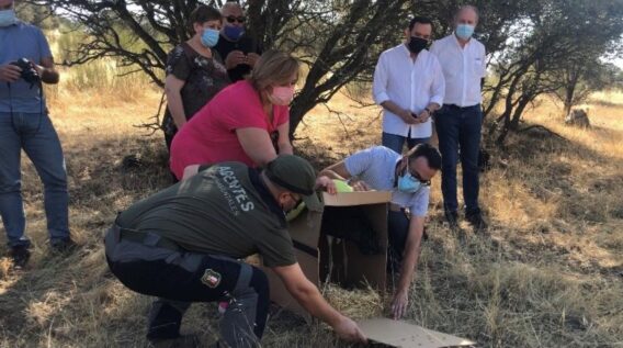 Castilla-La Mancha trabaja en la ampliación de la Red Natura 2000 en consonancia con los objetivos de la Estrategia de Biodiversidad 2030 de la Unión Europea