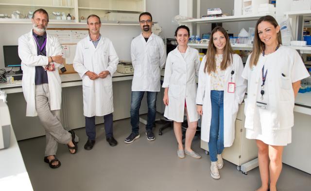 El grupo de Neuroprotección Molecular del Hospital Nacional de Parapléjicos, premiado por su investigación para atenuar la quimiorresistencia en cáncer de ovario