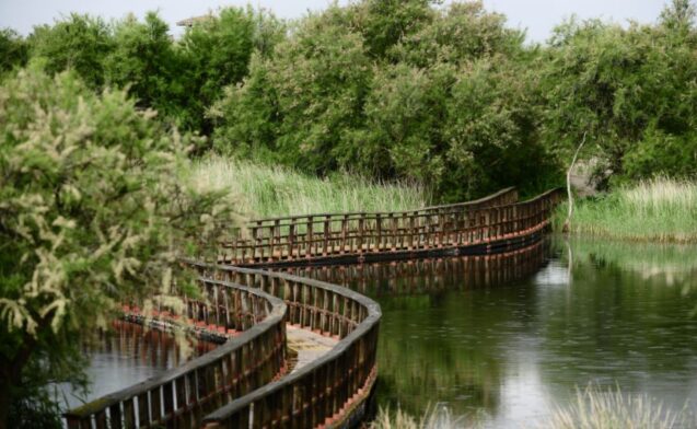 La Comisión Mixta de Gestión de los Parques  Nacionales de Castilla-La Mancha acuerda el  bombeo de agua a las Tablas de Daimiel