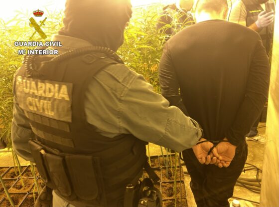 La Guardia Civil detiene a tres personas e interviene 1.425 plantas de marihuana en un cultivo indoor en Olías del Rey