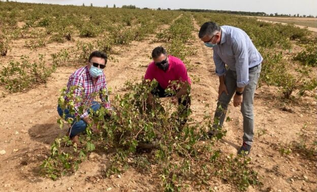 El Gobierno regional reafirma su compromiso con el sector agrícola tras las consecuencias que ha ocasionado la DANA a su paso por la provincia de Cuenca
