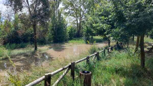 El temporal DANA provoca también el desbordamiento del río Riánsares a su paso por Tarancón