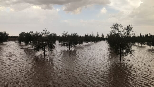El Gobierno regional eleva el METEOCAM a fase de emergencia nivel 1 ante el aumento del número de incidentes registrados en las últimas horas