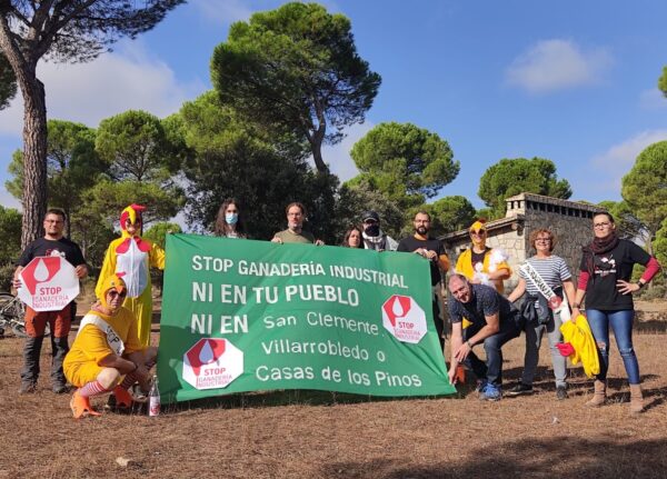 Más de 40.000 personas firman la petición contra la instalación de una macrogranja de gallinas entre los municipios de San Clemente, Villarrobledo y Casas de los Pinos