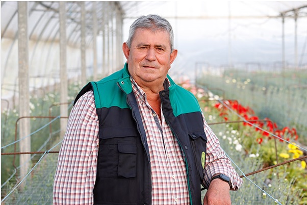 Flores: el símbolo cultural que llegó del campo