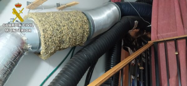 La Guardia Civil desarticula un grupo criminal dedicado al cultivo de marihuana en la provincia de Toledo