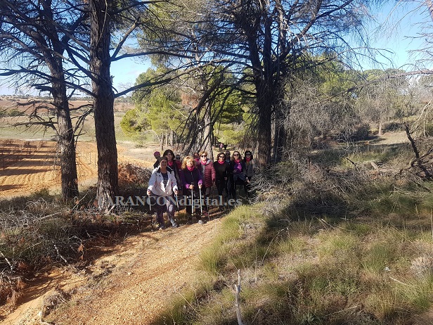 Una veintena de personas participan en la Ruta de senderismo incluida en la campaña 25N de lucha contra la violencia de género que se celebra en Tarancón durante estos días