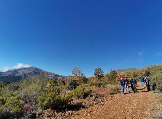 Castilla-La Mancha organiza más de 40 actividades en noviembre y diciembre para disfrutar del otoño en los espacios naturales de la región con el programa ‘Vive tu Espacio’