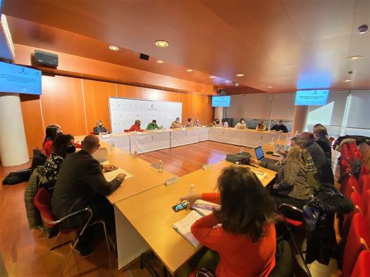 El Gobierno regional convoca la Comisión para el Diálogo Civil con la Mesa del Tercer Sector Social a su última reunión