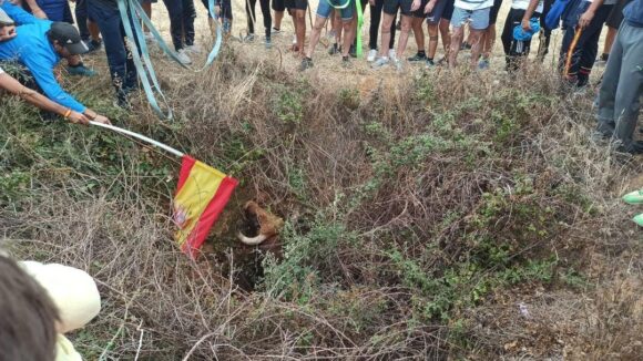 Guadalajara antitaurina denuncia los terribles hechos ocurridos ayer mismo en Torija, durante un encierro motorizado por el campo.