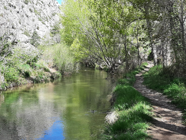 Adjudicado el proyecto de implantación de las  medidas de gestión de las reservas naturales  fluviales en la cuenca del Júcar