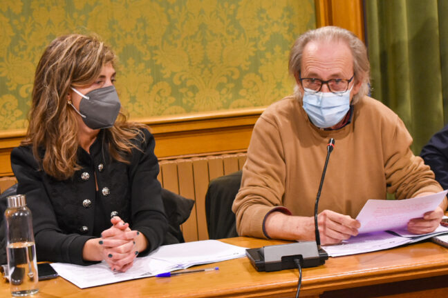 Dolz avala la decisión del Ministerio de eliminar el tren convencional vulnerando lo aprobado en pleno de forma unánime
