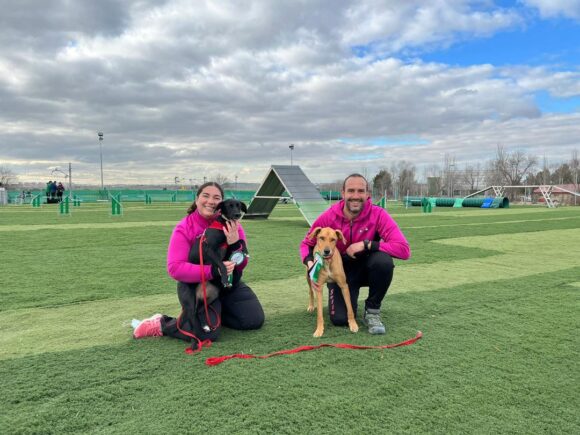 El club Momo Agility de Tarancón, luchara esta temporada por ascender a Grado II. Para ello, este fin de semana ha logrado un primero y un tercer puesto en las pruebas donde ha tomado parte