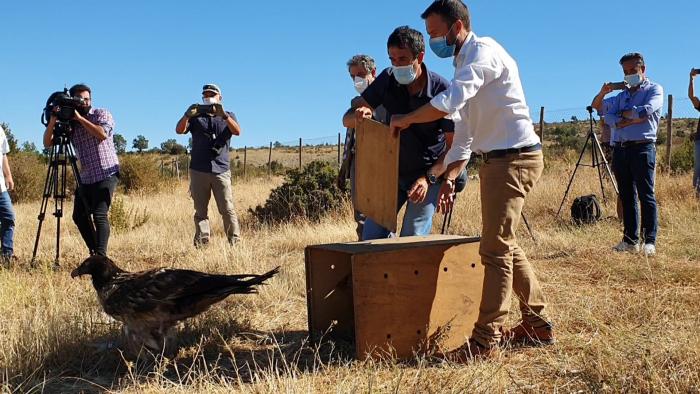 Castilla-La Mancha incrementará este año un 43 por ciento las ayudas para fomentar la educación ambiental