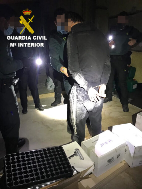 La Guardia Civil detiene a una persona por cultivar 1200 plantas de marihuana
