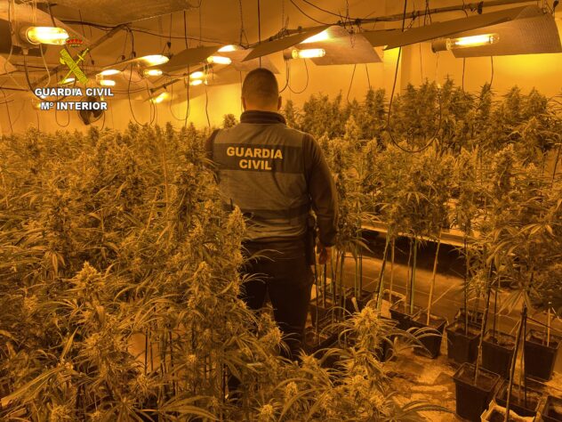 La Guardia Civil detiene a una septuagenaria por cultivo de marihuana en la localidad de Hormigos