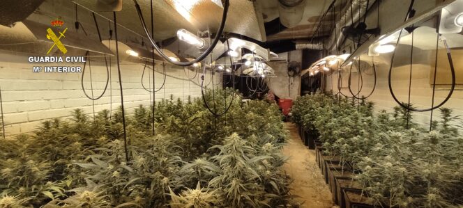 La Guardia Civil detiene a una persona por cultivo de marihuana en una vivienda ocupada ilegalmente en Erustes