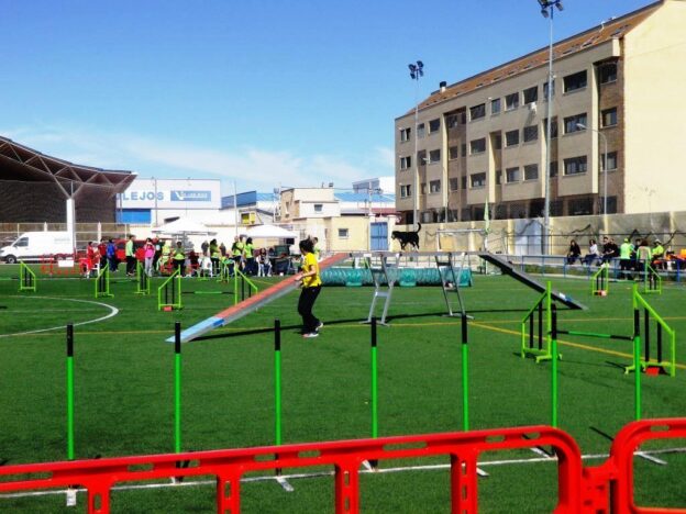 Agility Momo de Tarancón promocionando la formación de guías y preparación de canes para competir a diferente nivel