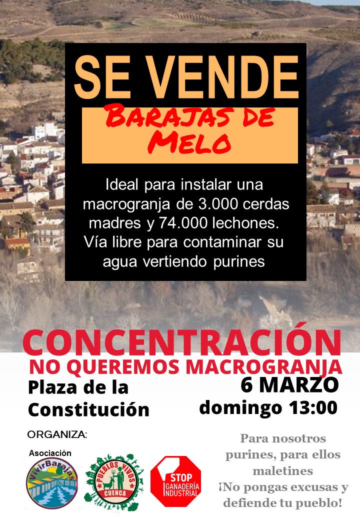 Barajas de Melo se moviliza este domingo contra una macrogranja de cerdos