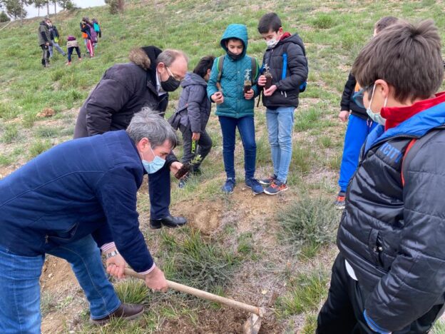 Plantación en Cuenca de 250 especies arbóreas entre pinos, encinas y plantas aromáticas en el MUPA junto a colectivos educativos y sociales de la provincia