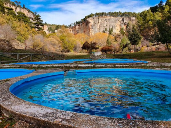 Castilla-La Mancha pone a disposición de las empresas de transformación de productos de pesca y acuicultura 1,3 millones de euros de ayudas