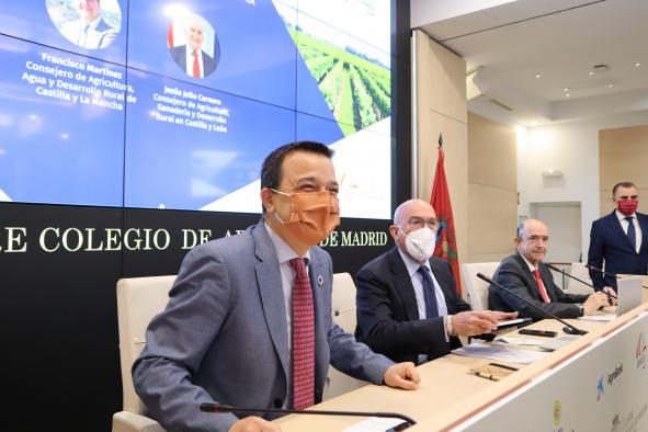 Castilla-La Mancha espera poder poner en producción 600.000 hectáreas de barbecho para cultivos como el girasol ante las necesidades por la guerra de Ucrania