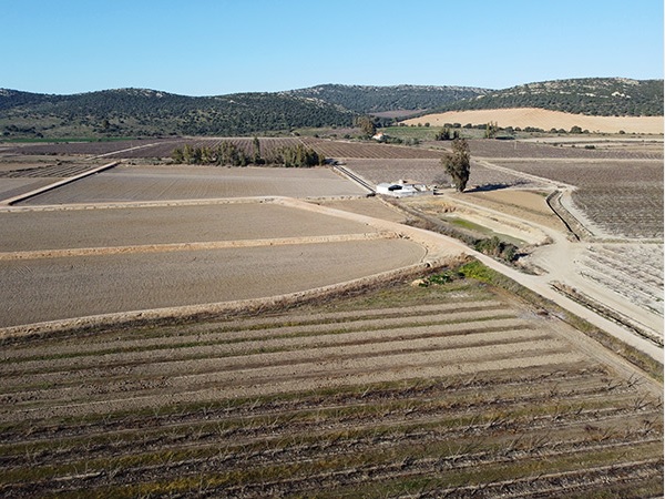 UPA alerta del riesgo existente por la sequía y las altas temperaturas